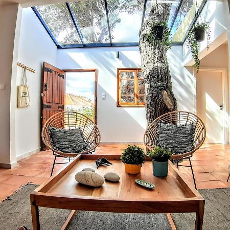 Beach Tree House Порто Санто Екстериор снимка