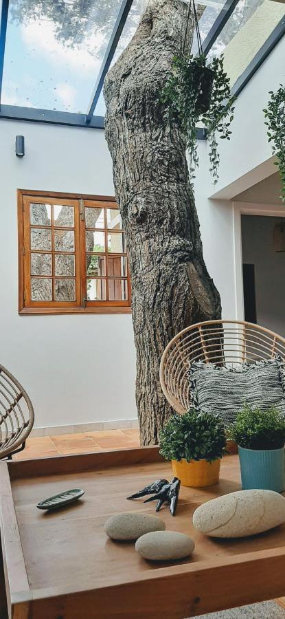 Beach Tree House Порто Санто Екстериор снимка