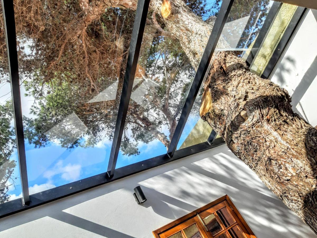 Beach Tree House Порто Санто Екстериор снимка
