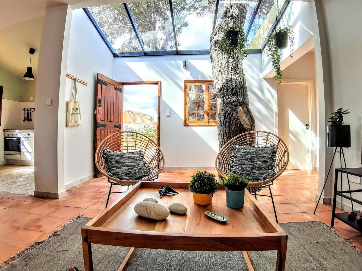 Beach Tree House Порто Санто Екстериор снимка